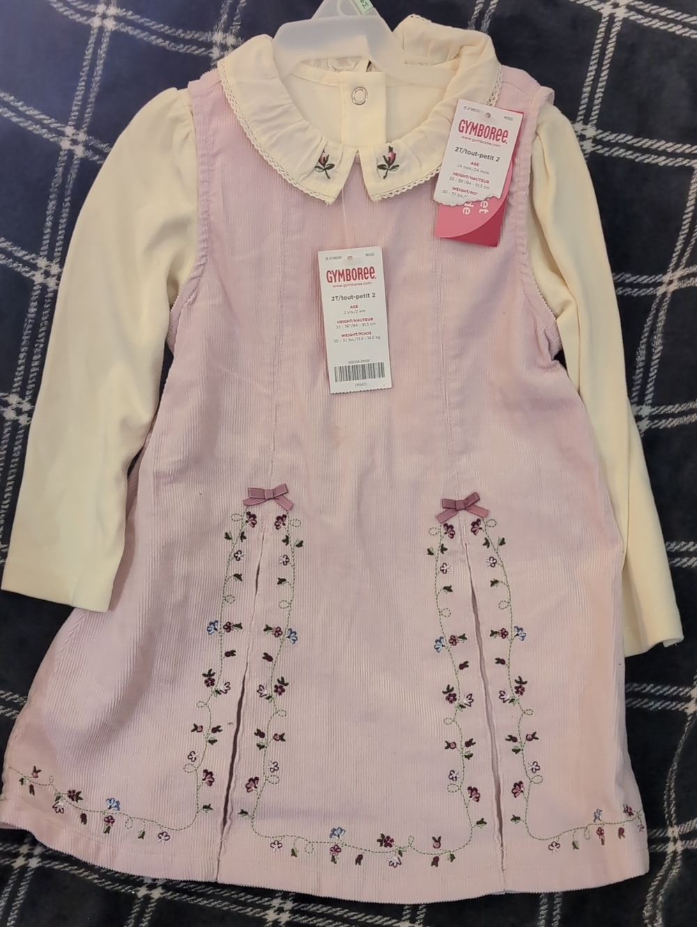 Gymboree 3-Piece Pink Corduroy Jumper Dress with Cream Blouse